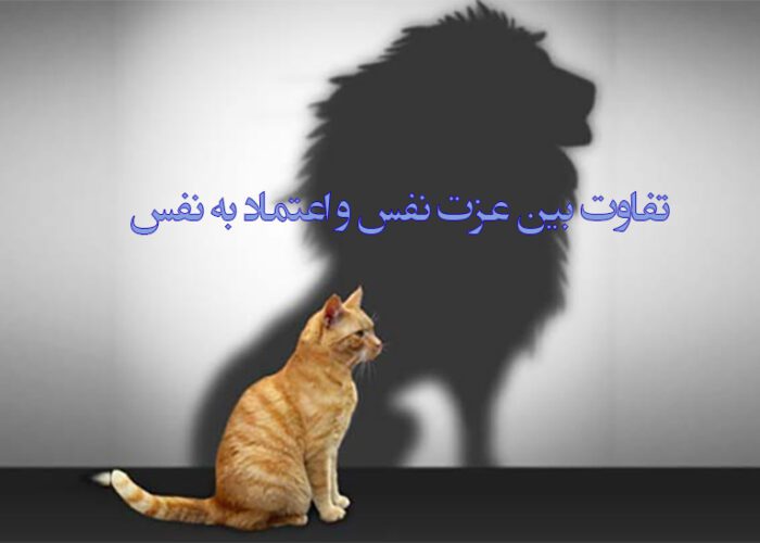 Self-esteem and self-confidence